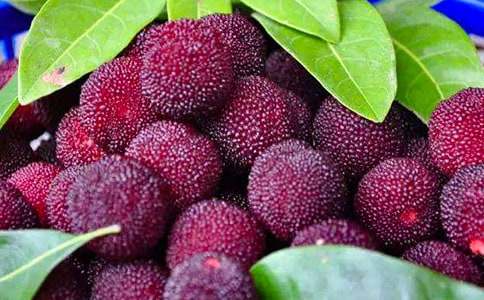 (���])���l(xi��ng)�ė�÷