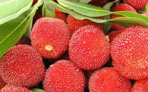 �Ґ۹��l(xi��ng)��÷����