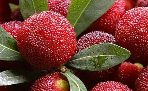 �����]����÷����300��10ƪ