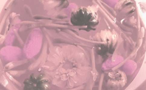 冬至養(yǎng)生主題班會(huì)教案