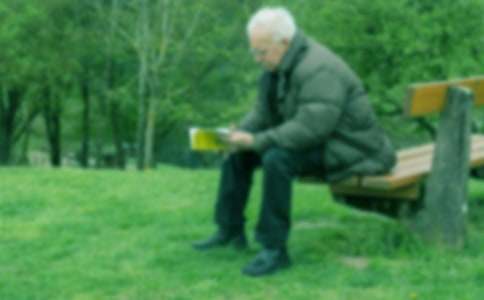 風(fēng)爺爺帶我去旅行小學(xué)作文