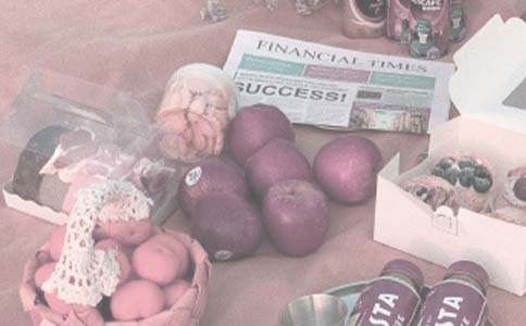 野餐作文600字(精選22篇)