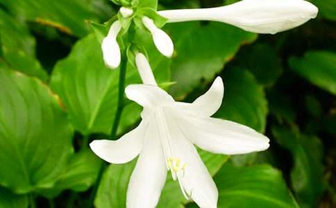 ����ҹ������~