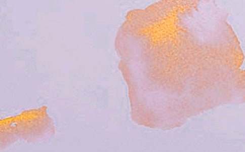 淺談網(wǎng)頁藝術(shù)設(shè)計的現(xiàn)狀與發(fā)展趨勢