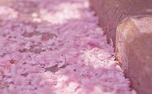 �ѻ�ʢ�_�ļ���(ji��)�S�P�����x20ƪ��