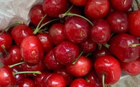 ����Ʒ����������500����ƪ