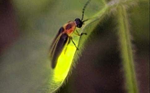 ӛ����̎���Ξ���x����