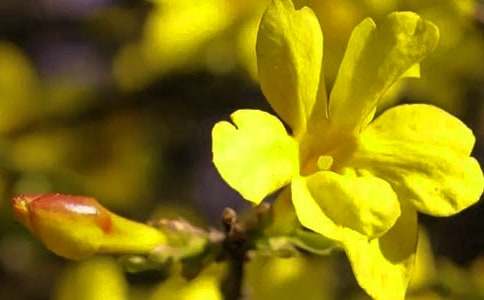 С�W����ӭ����