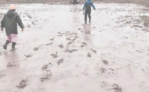 ����׃�˔�������