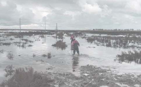 ���ﶬ����ȫ���a(ch��n)��������