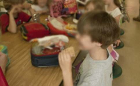 2016年幼兒園教師資格考試大綱(試行)