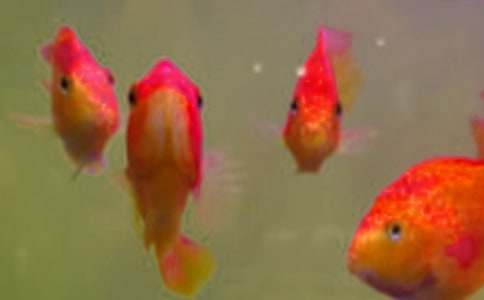 �~��ُ�N��ͬ��(j��ng)��