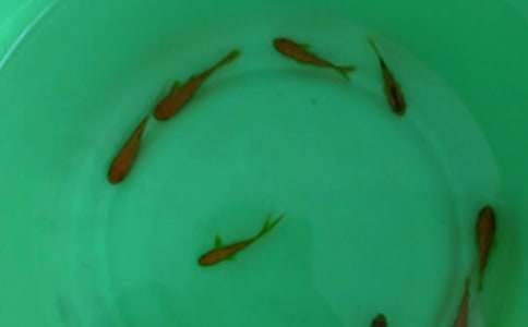 �_���~���I�u��ͬ