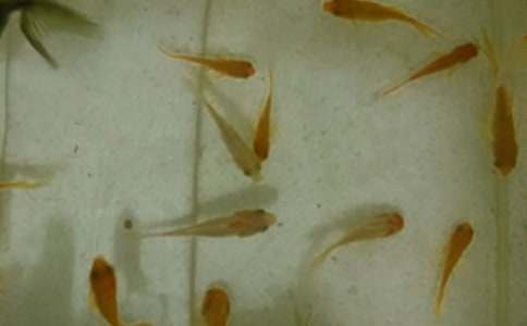 �~��ُ�N��ͬ15ƪ