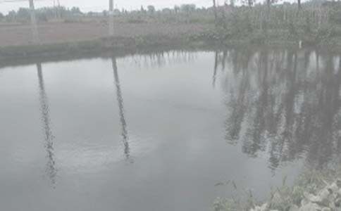 �~���а���ͬͨ��15ƪ