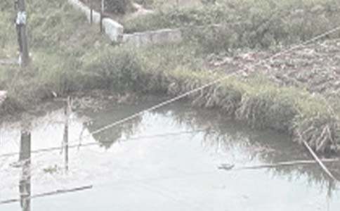 �������l(xi��ng)���~������600��