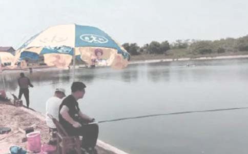 以用父愛(ài)挖就的魚塘為題目的記敘文