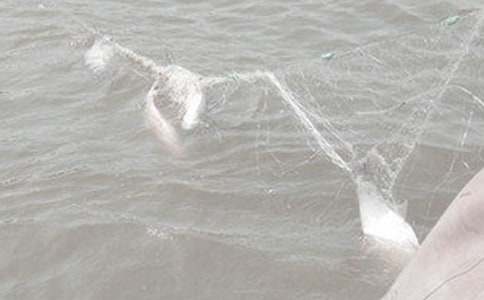 父親的漁網(wǎng)作文