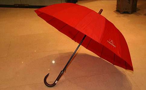 爸爸的雨傘優(yōu)秀作文