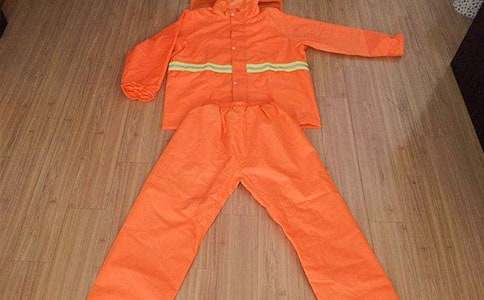 紫色雨衣下的父愛_800字