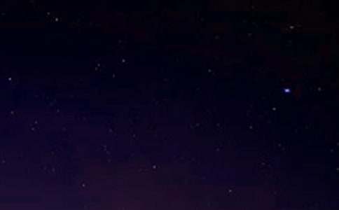 ��嫵���������800��