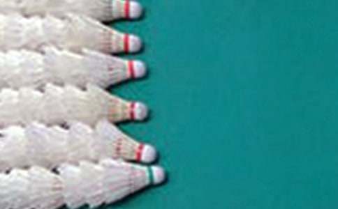 愛打羽毛球的爸爸作文