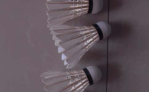 �Ͱְִ���ë�����ģ����x25ƪ��