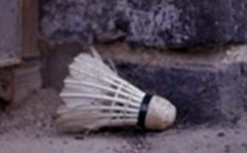 �ҺͰְֵ���ë��ِС�W(xu��)�W(xu��)������