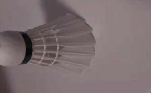 【熱門】家庭羽毛球大戰(zhàn)作文2篇