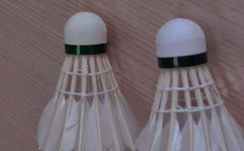 我和爸爸打羽毛球-五年級(jí)