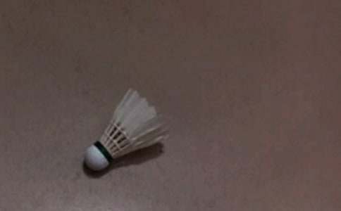 �ְֽ��Ҵ���ë������