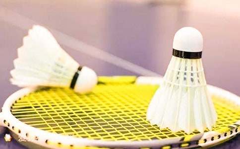 我的課余生活是學(xué)打羽毛球小學(xué)作文