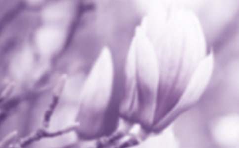 ��ϲ�g���m������500��