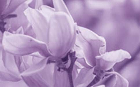 �Ґ�(��i)���m��400������