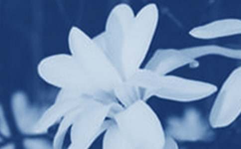 ���������m�����ġ��᡿