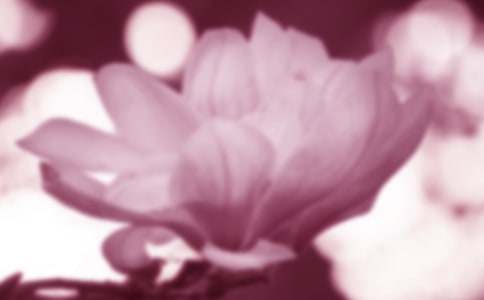 �^�����m��������