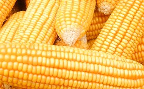 ��������400����ƪ