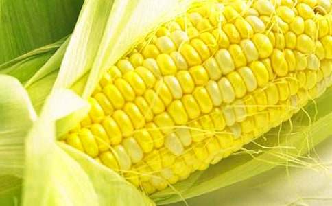 �P(gu��n)�����׵�С�W(xu��)����