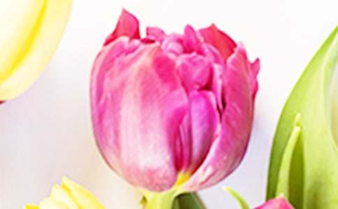 ����ϲ�g�����������