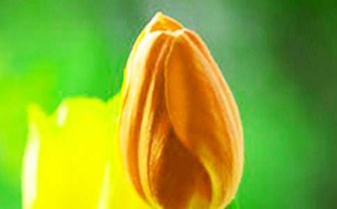 �^(gu��n)��ֲ������������