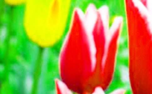 �ҵ�������С�W�����꼉����