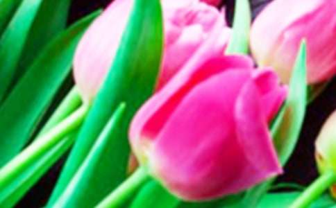 ������ ����800��