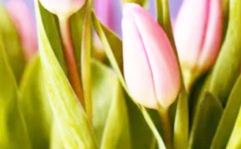 �茑����������ĽY(ji��)β��ô��