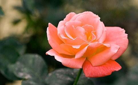 �Ґ�(��i)�¼���200������