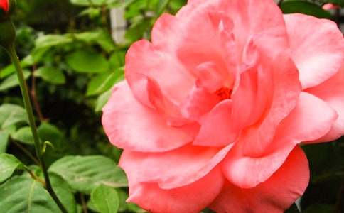 �¼������ġ��᡿