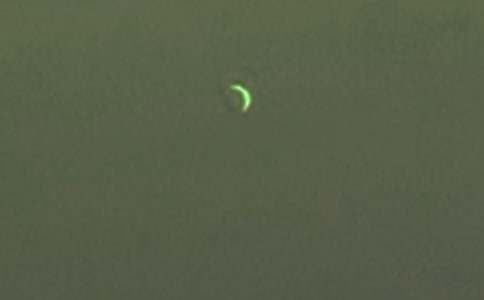 ���������������~�Z