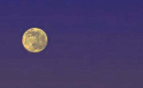 �A�鑛��(y��u)������2000��