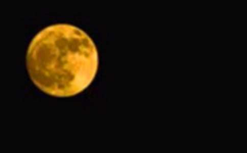 天天月圓的歌詞