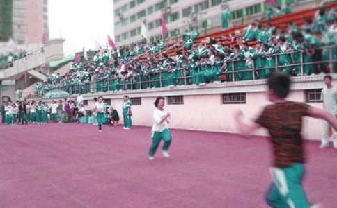 多彩的運動會作文450字(通用26篇)