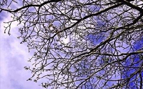 �P(gu��n)�ڄ�(l��)־�簲���Z��ͨ��120�䣩